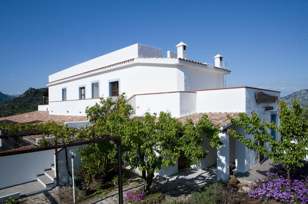 Turismo Rurale Belvedere Pradonos Dorgali Eksteriør billede